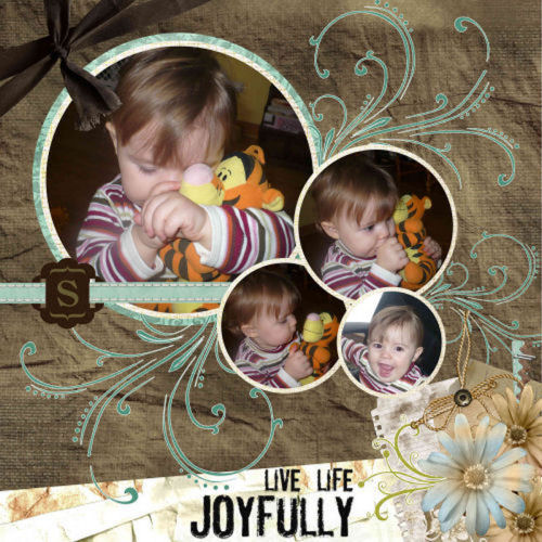Live Life Joyfully