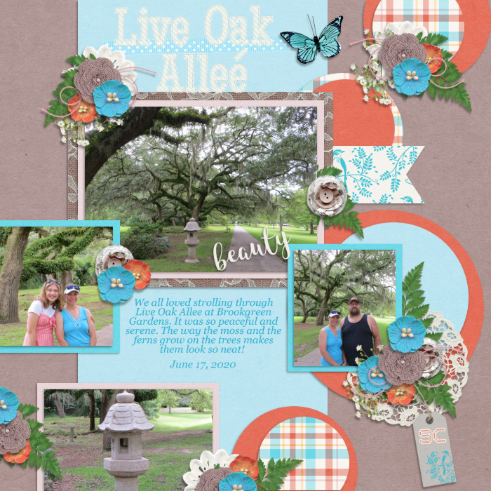 Live Oak Allee