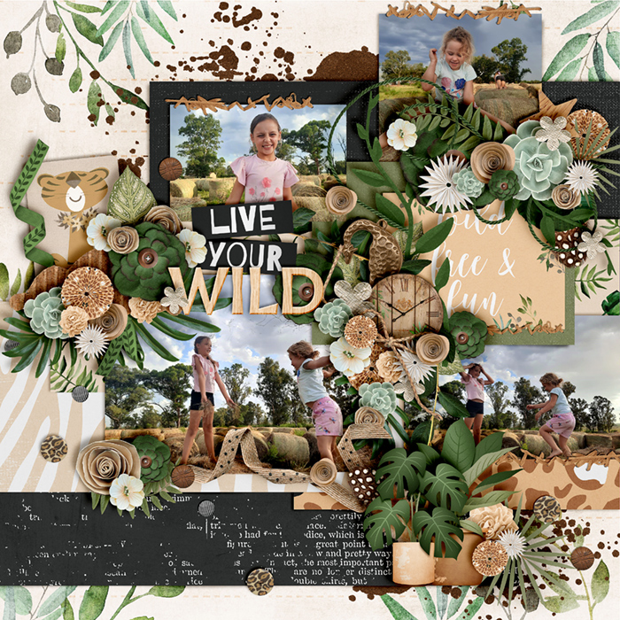 Live your wild