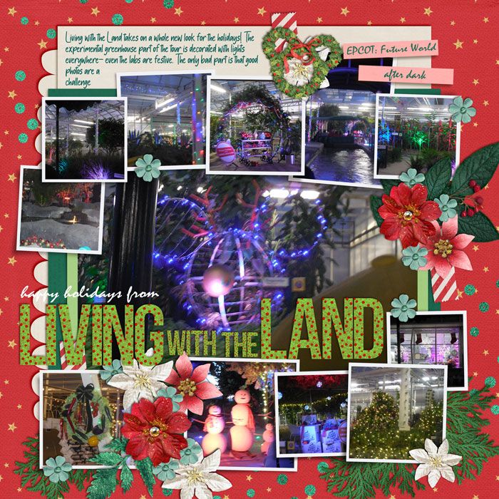 Living with the Land- Christmas-like