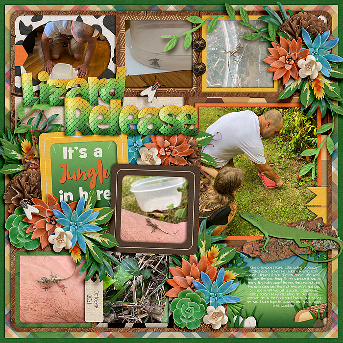 Lizard Rescue