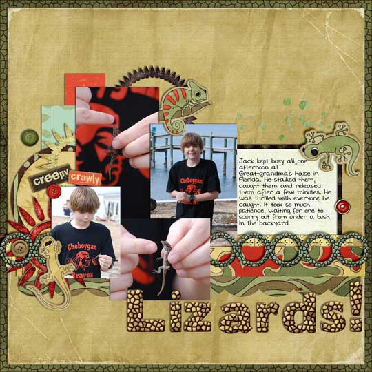 Lizards