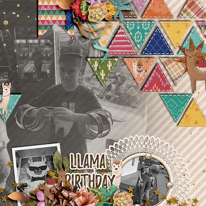 Llama Birthday