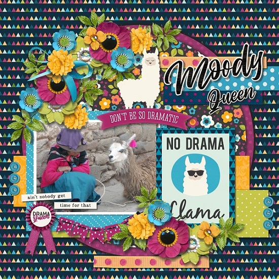 Llama drama