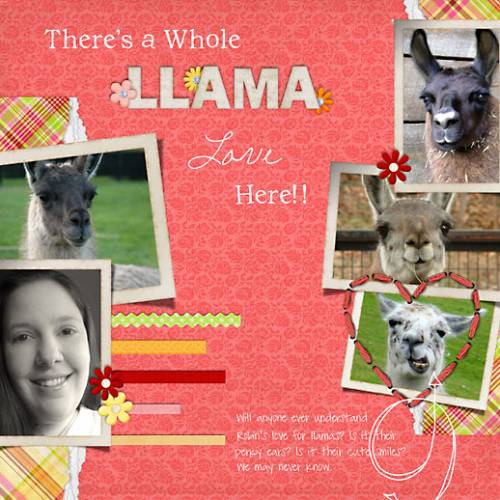 Llama Love