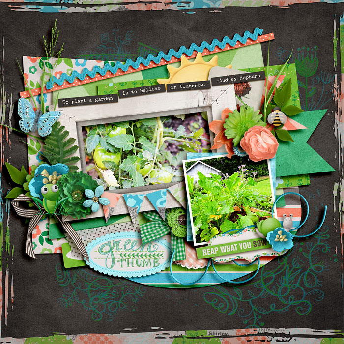 LO312 - Seeding and Wedding Kit