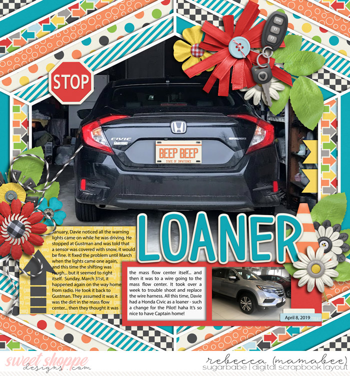 Loaner