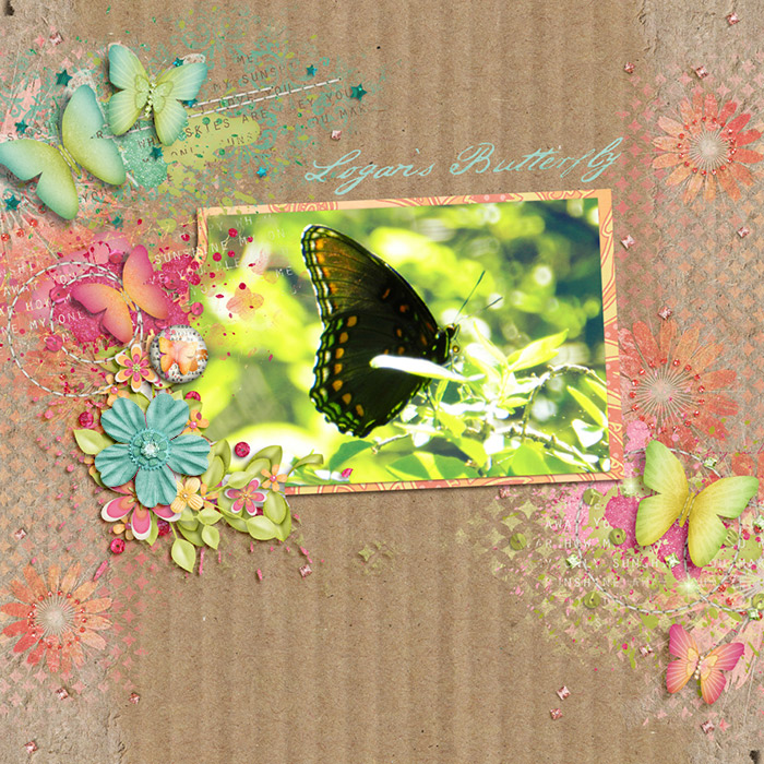 Logan's Buterfly