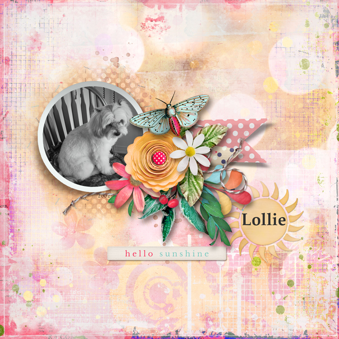 Lollie