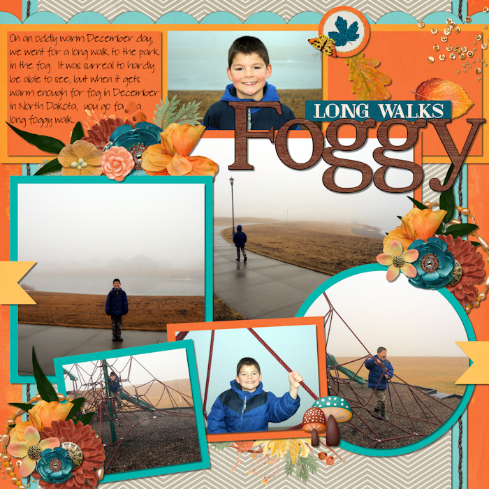 Long Foggy Walks