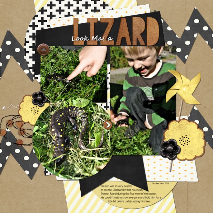 Look Ma! a Lizard