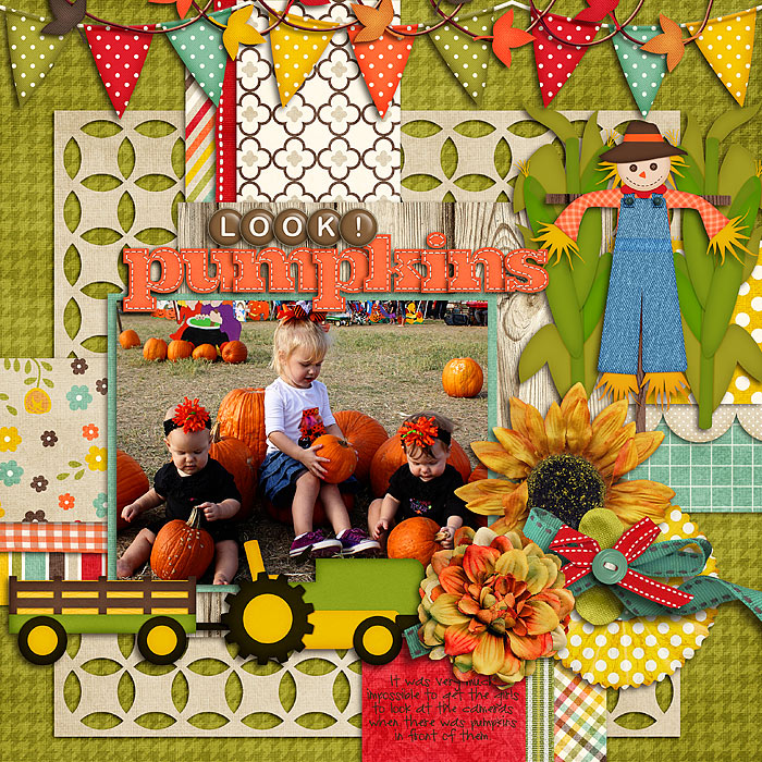 Look! Pumpkins