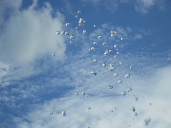 Look up