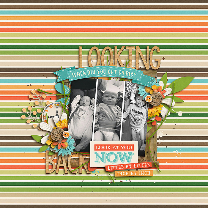 Looking Back