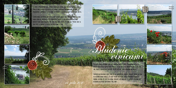 Lost in the vineyards