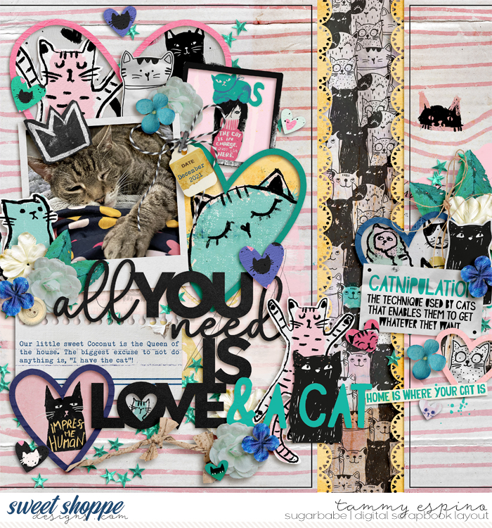 love and a cat