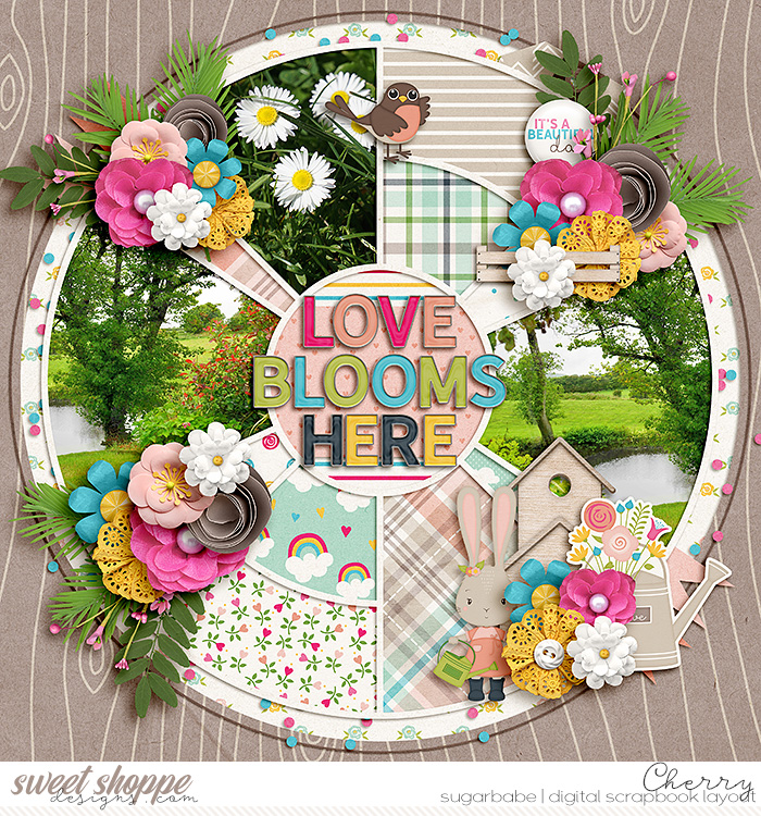 Love Blooms Here