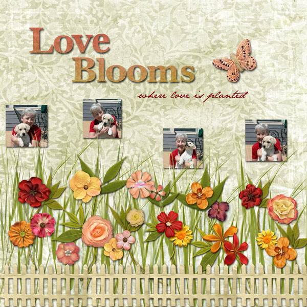 Love Blooms