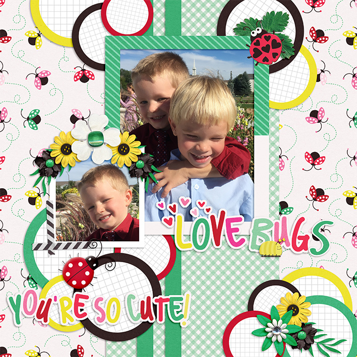 Love Bugs