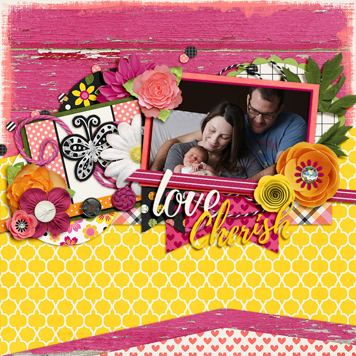 Love Cherish