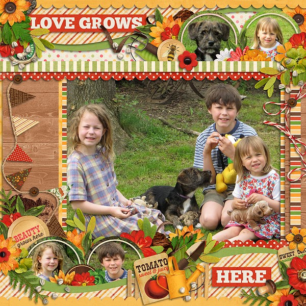 love grows here...