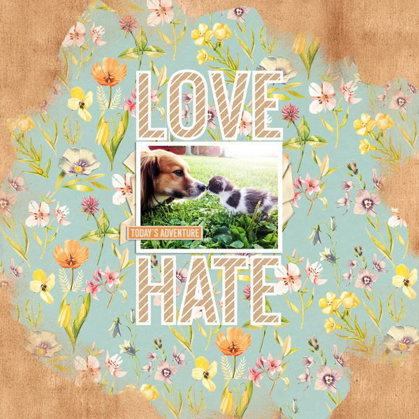 Love Hate