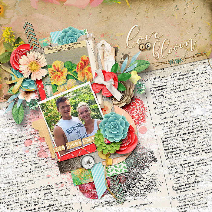 Love In Bloom