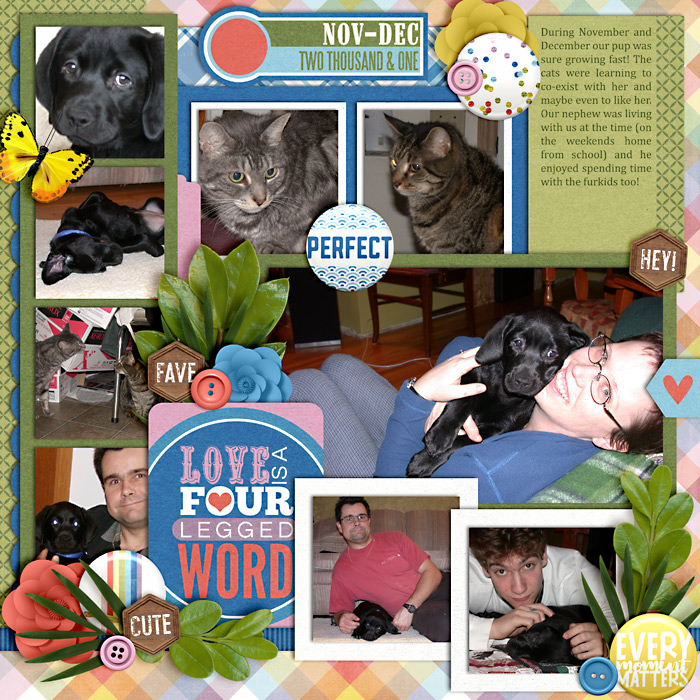 Love is a Four Legged Word