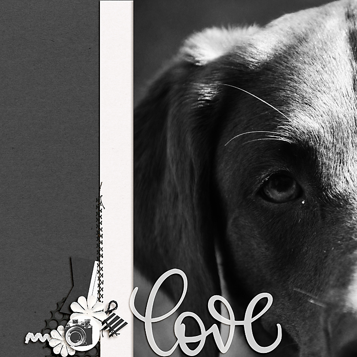Love is a Wet Nose
