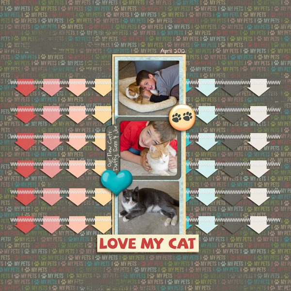 love my  cat