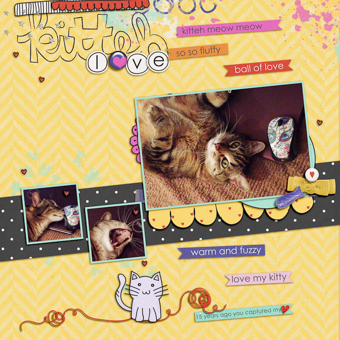 Love my Kitteh
