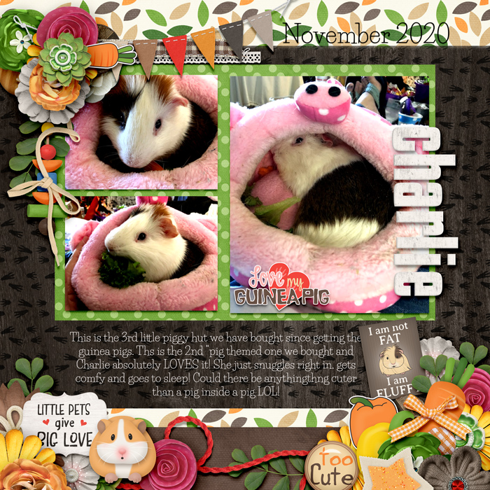 Love My PIg