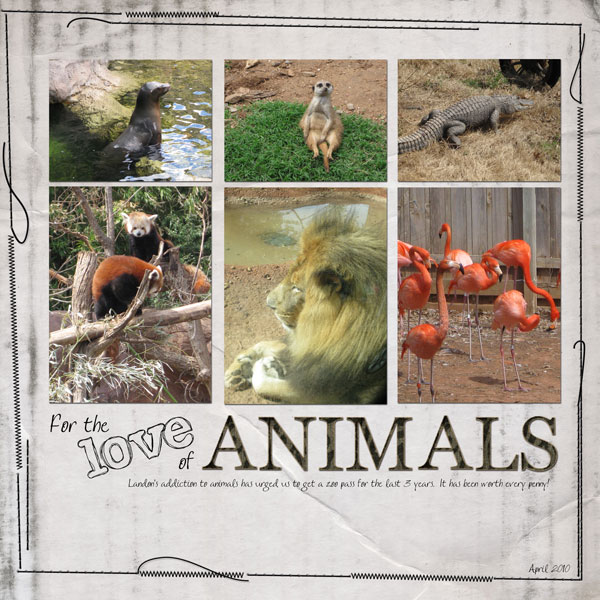 Love of Animals