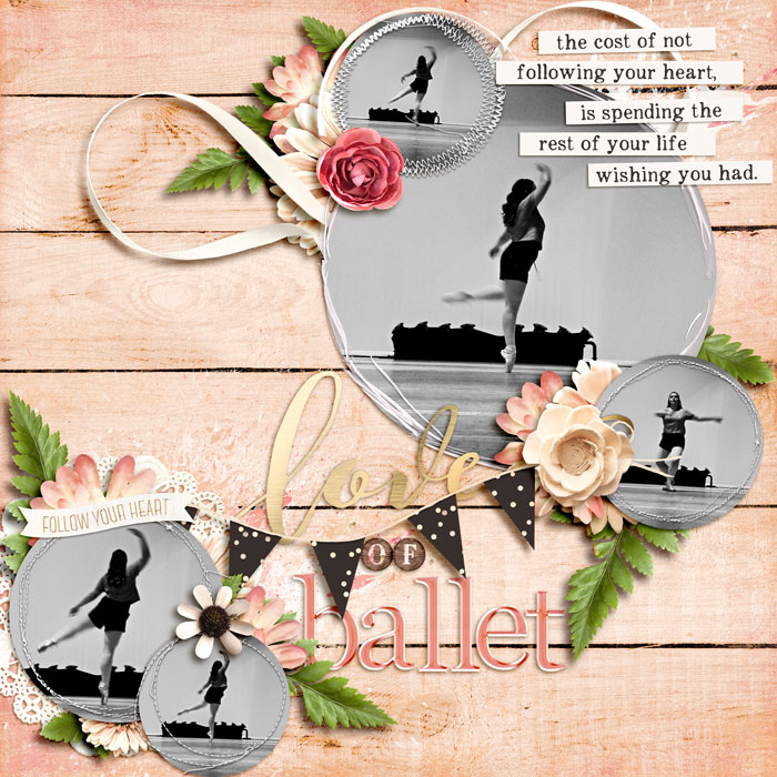 Love of Ballet
