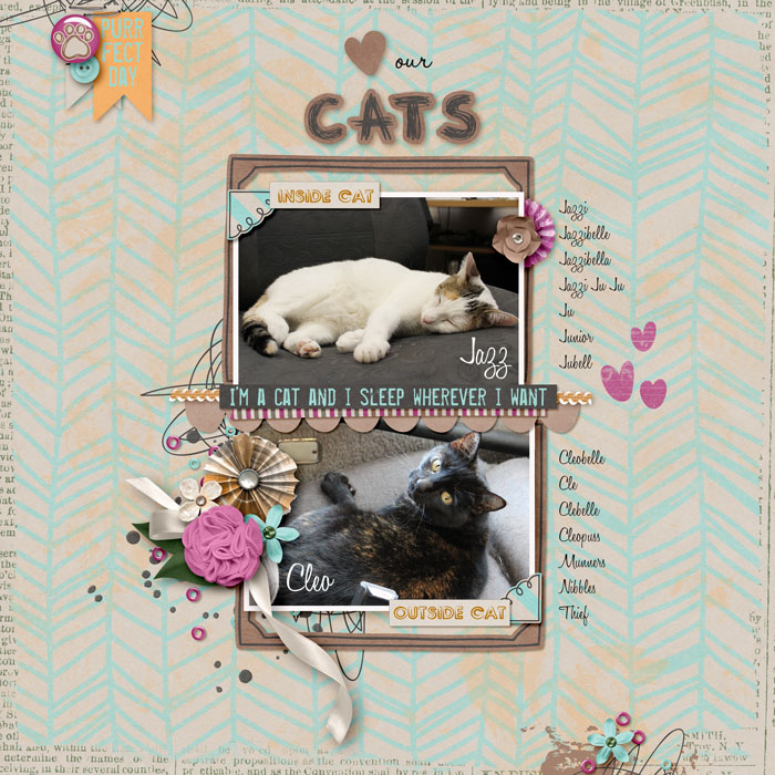 Love Our Cats