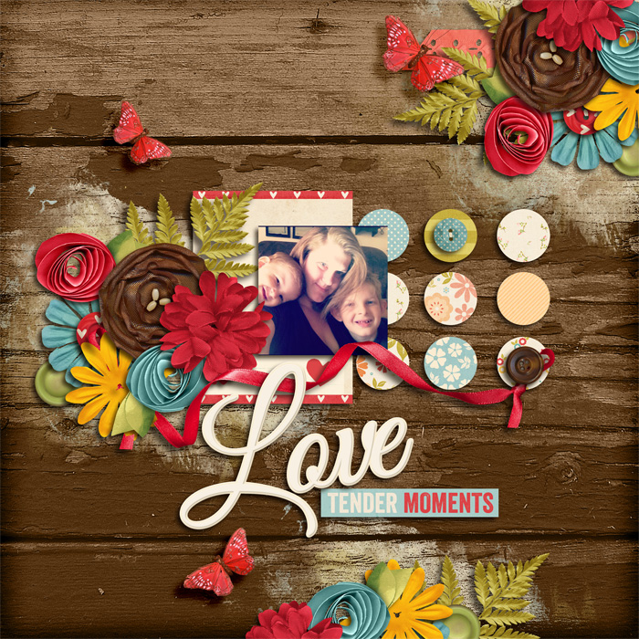Love Tender Moments