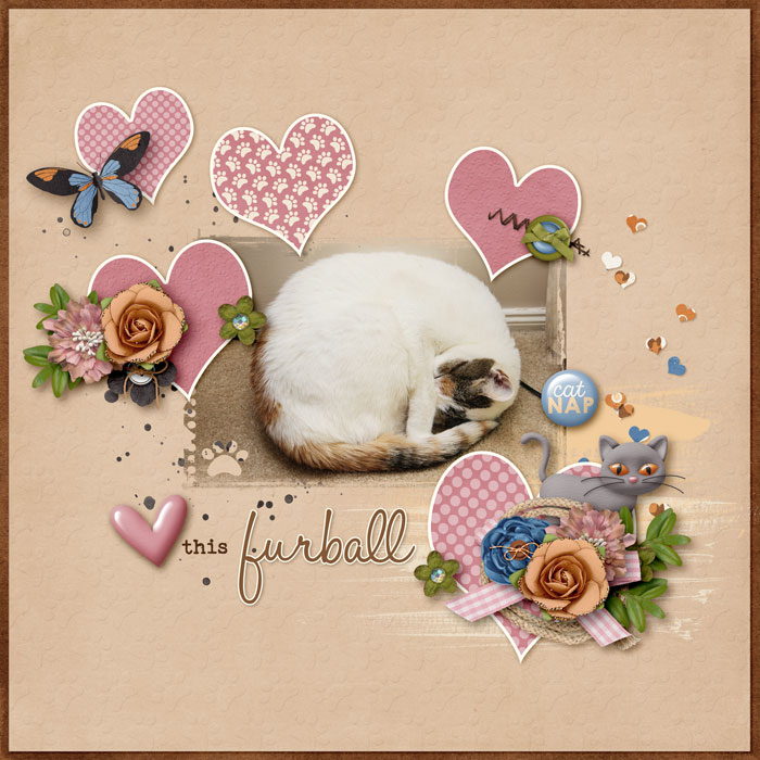 Love This Furball