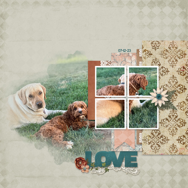 Love