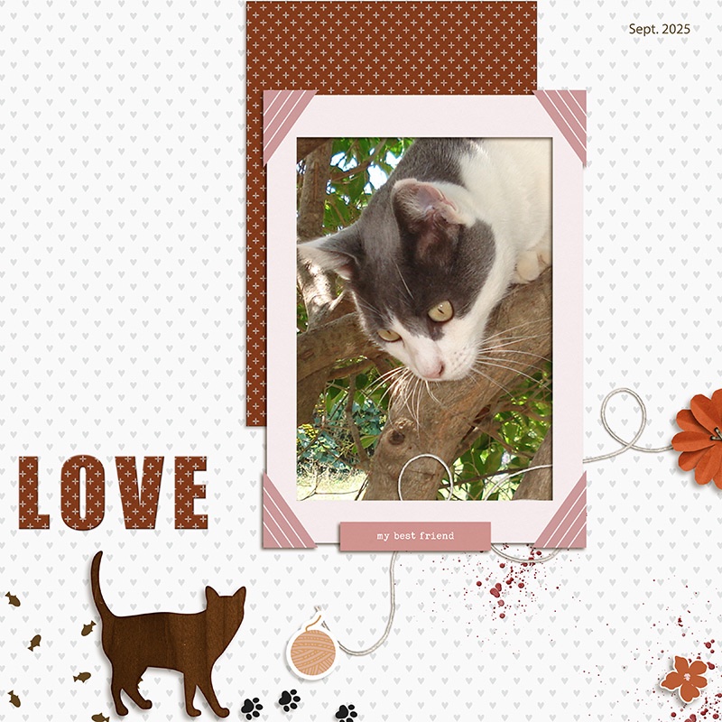 Love