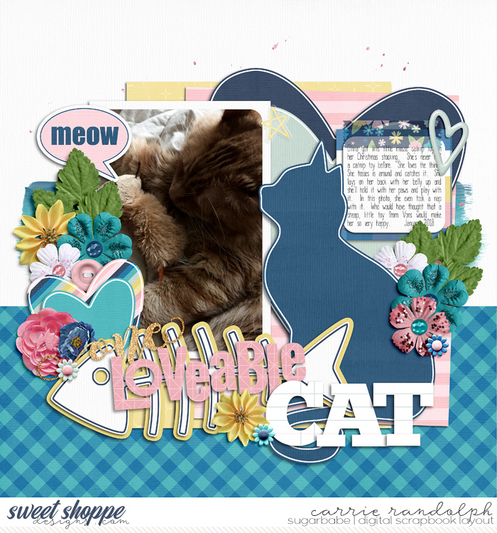 Loveable Cat