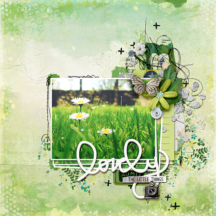 Lovely (Daisies)