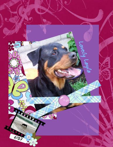 Lovely Layla