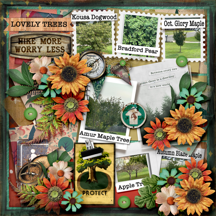 Lovely Trees