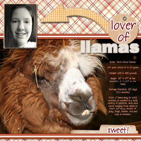 Lover of Llamas