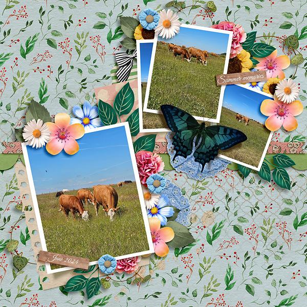 Lucky Cows