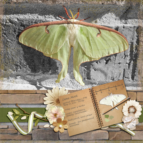 Luna Moth August 2018 Bingo #10