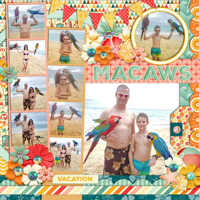 Macaws - Left