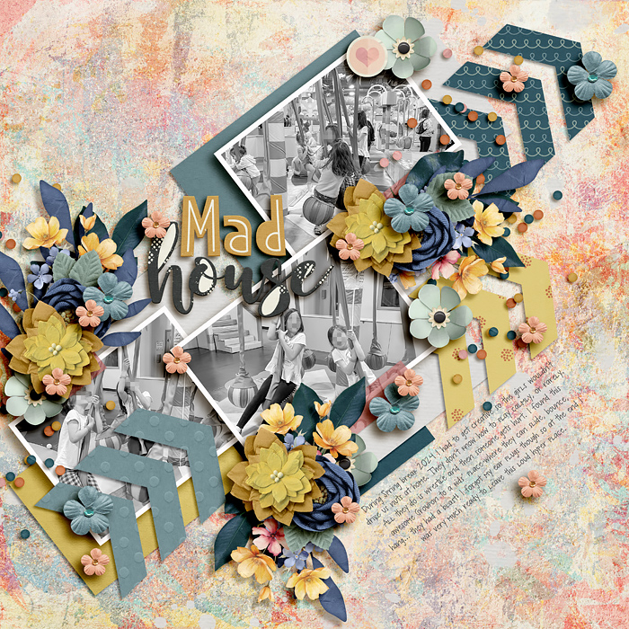 Mad House