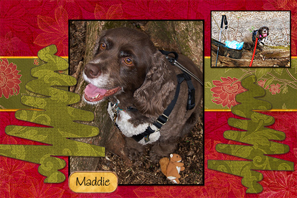 Maddie Geocaching