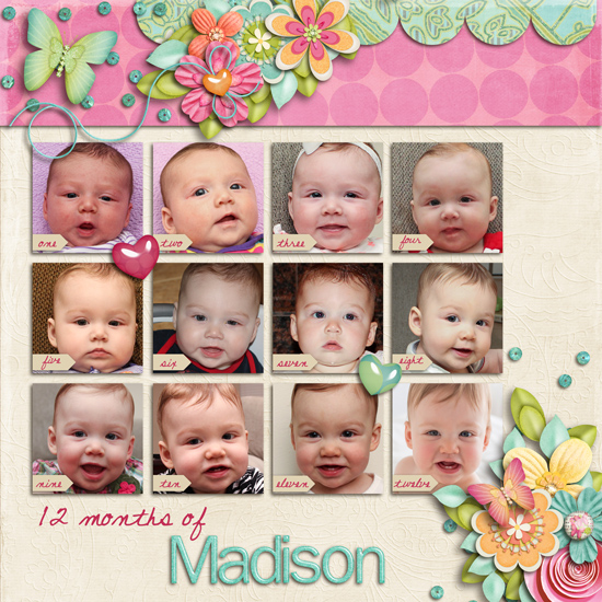 Madison's First Year